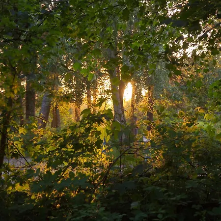 Wohnen Am Suedstrand - 1 6 Apartament *